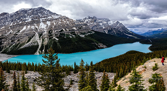Peyto Lake, Banff National Park