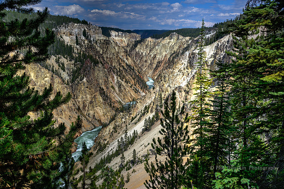 Grand Canyon of Yellowstone