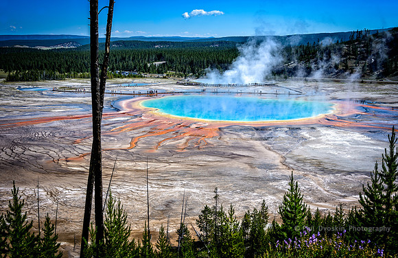 Grand Prismatic