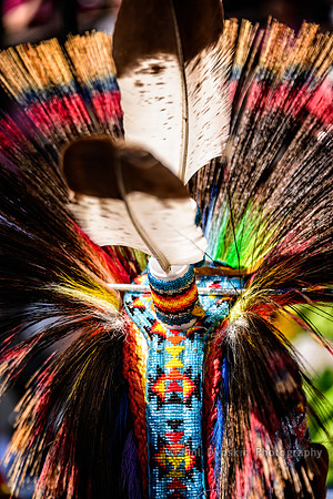 Feather in my cap