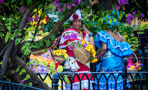 Ladies of Color