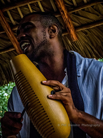 Gourd player