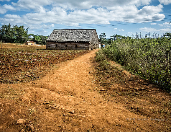 Tobacco Road