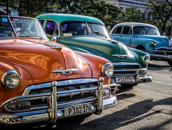 1950's Lives