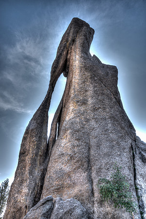 Eye of the Needle