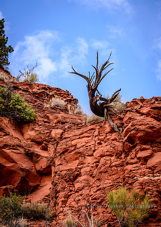 Out of the Rock