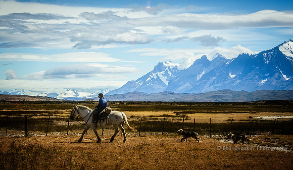 Gaucho and friends