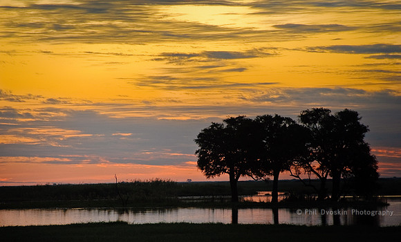 African Sunset