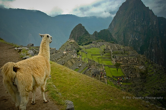 Machu Picchu