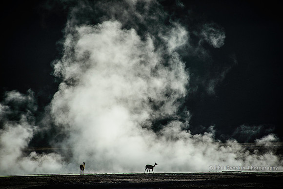 Morning stroll at the El Tatio Geysers