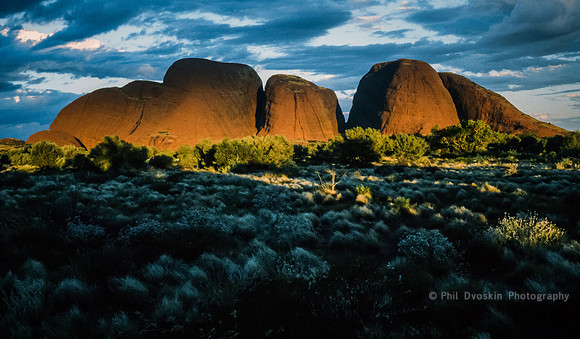 The Olgas