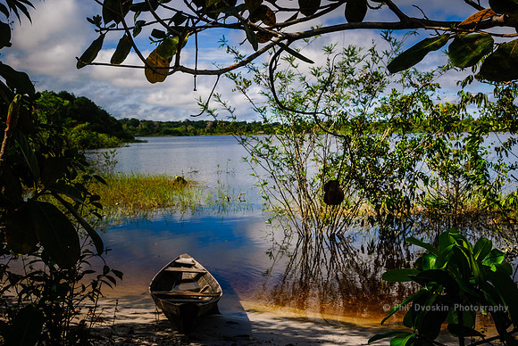 Amazon canoe