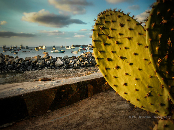 San Cristobal Harbor, Galapagos